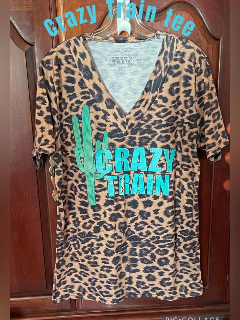 Crazy Train Brown Leopard V-Neck Tee with Teal Graphic Ladies M  Boutique Tee